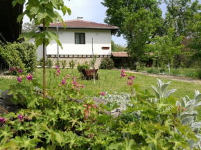  Complex Ovchaga  Аспарухово